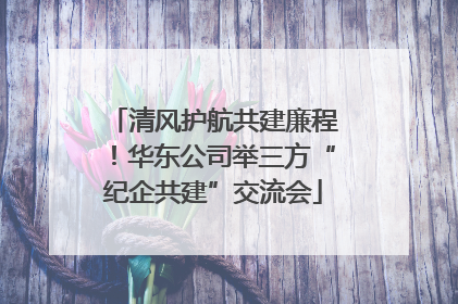 清风护航共建廉程！华东公司举三方“纪企共建”交流会